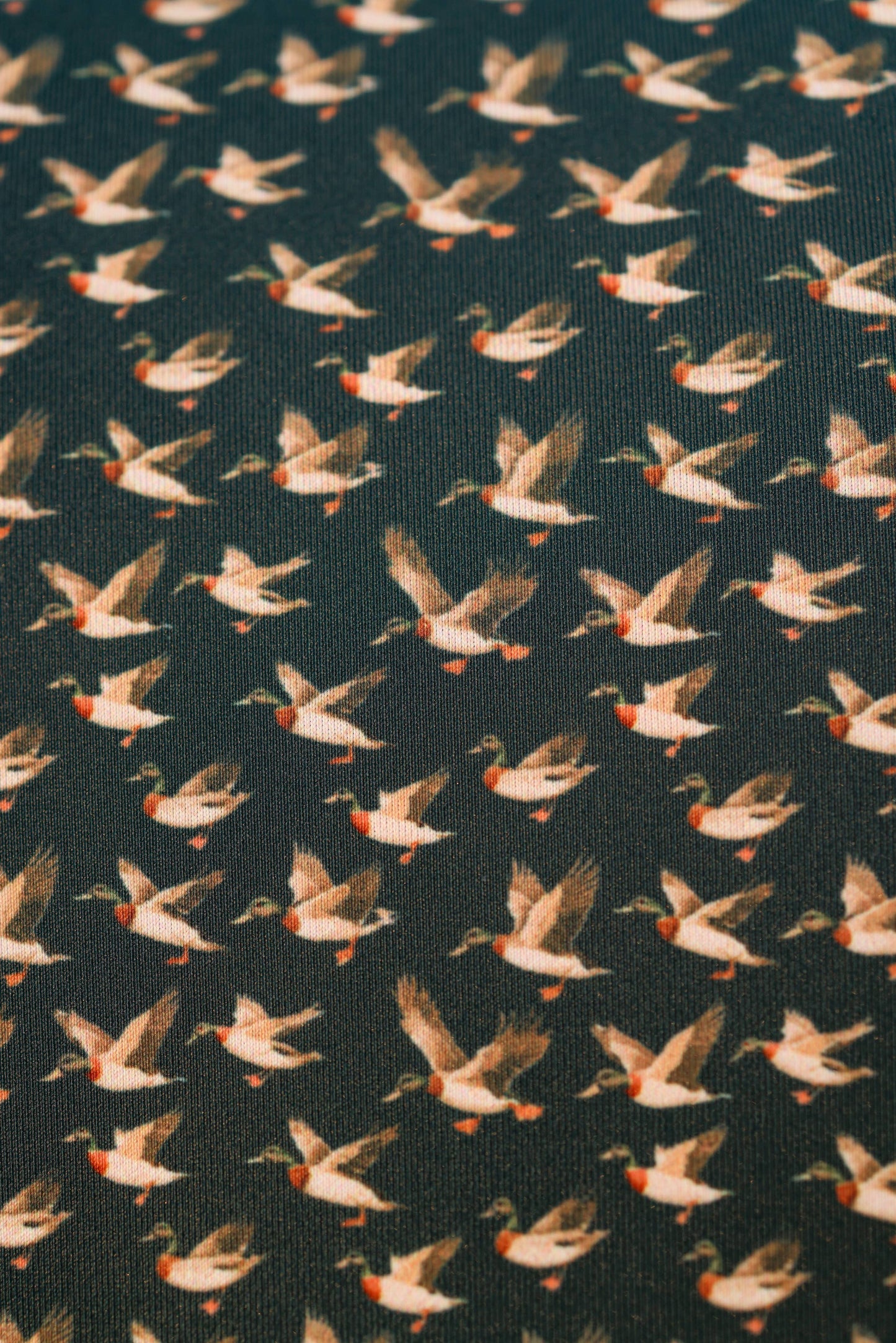 SALT WATER SOUL - The Quack Polo