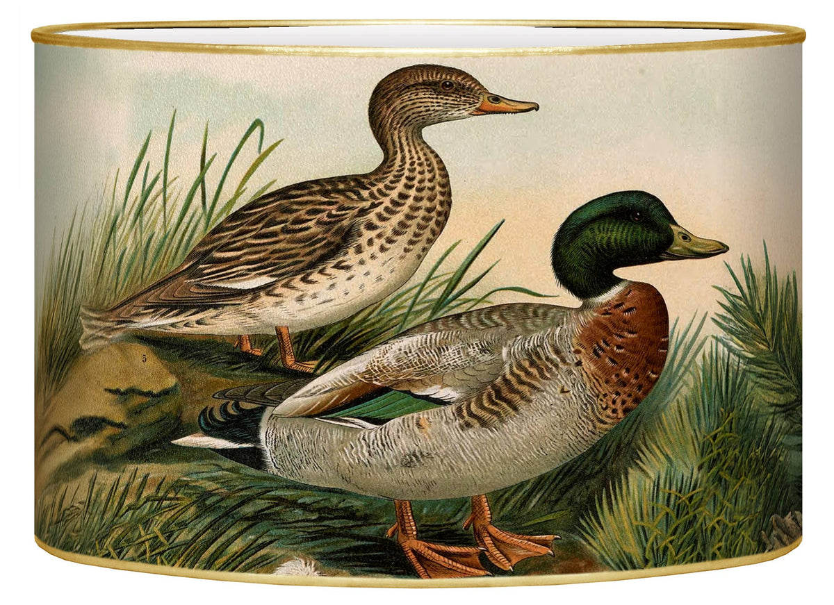 Marye-Kelley - LB6128-Ducks Letterbox