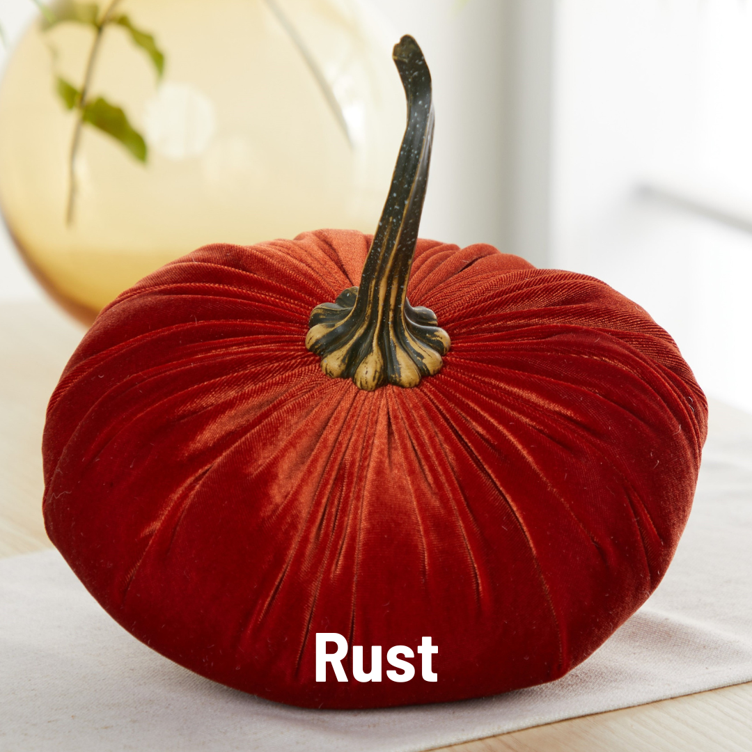 An extra large velvet pumpkin from Your Heart’s Content in a deep rust shade with a lifelike stem sits elegantly on the table, making it an ideal accent for Thanksgiving décor. The words “Rust” appear in white at the bottom.