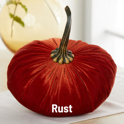 An extra large velvet pumpkin from Your Heart’s Content in a deep rust shade with a lifelike stem sits elegantly on the table, making it an ideal accent for Thanksgiving décor. The words “Rust” appear in white at the bottom.