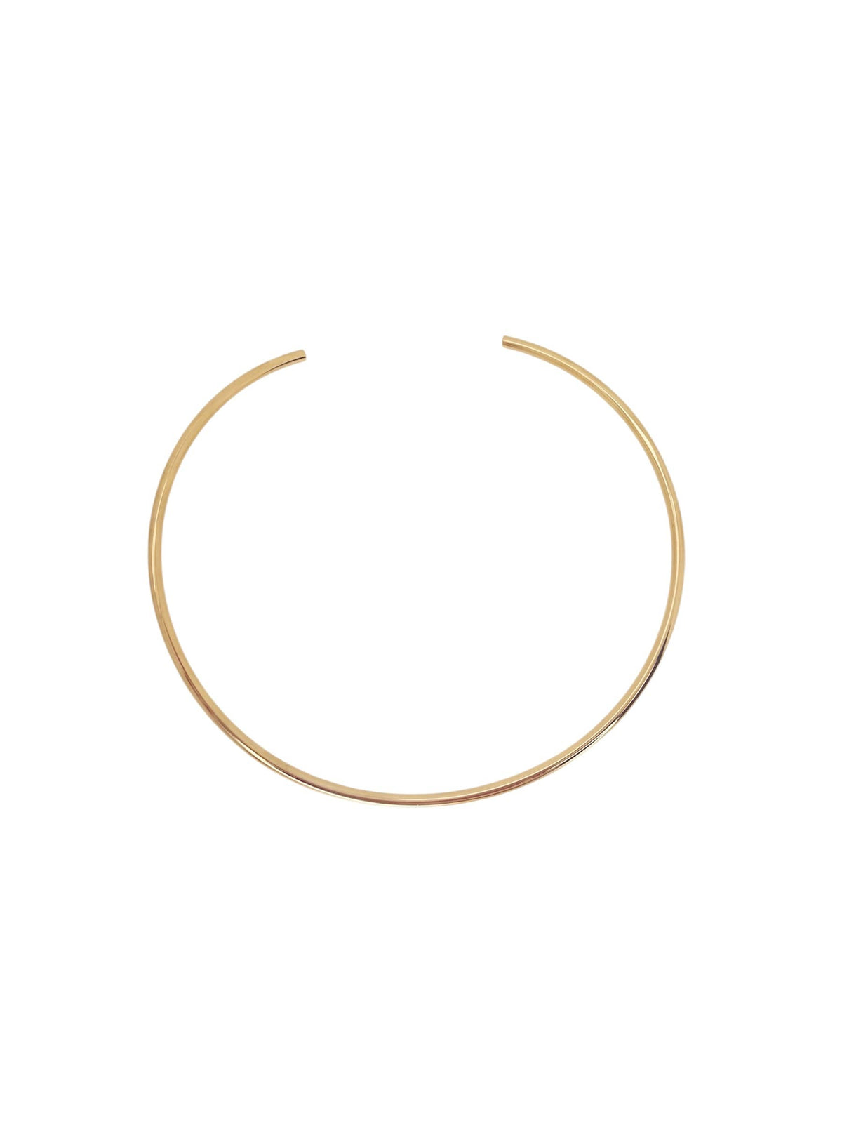 Strutt Jewelry - Fish Necklace 