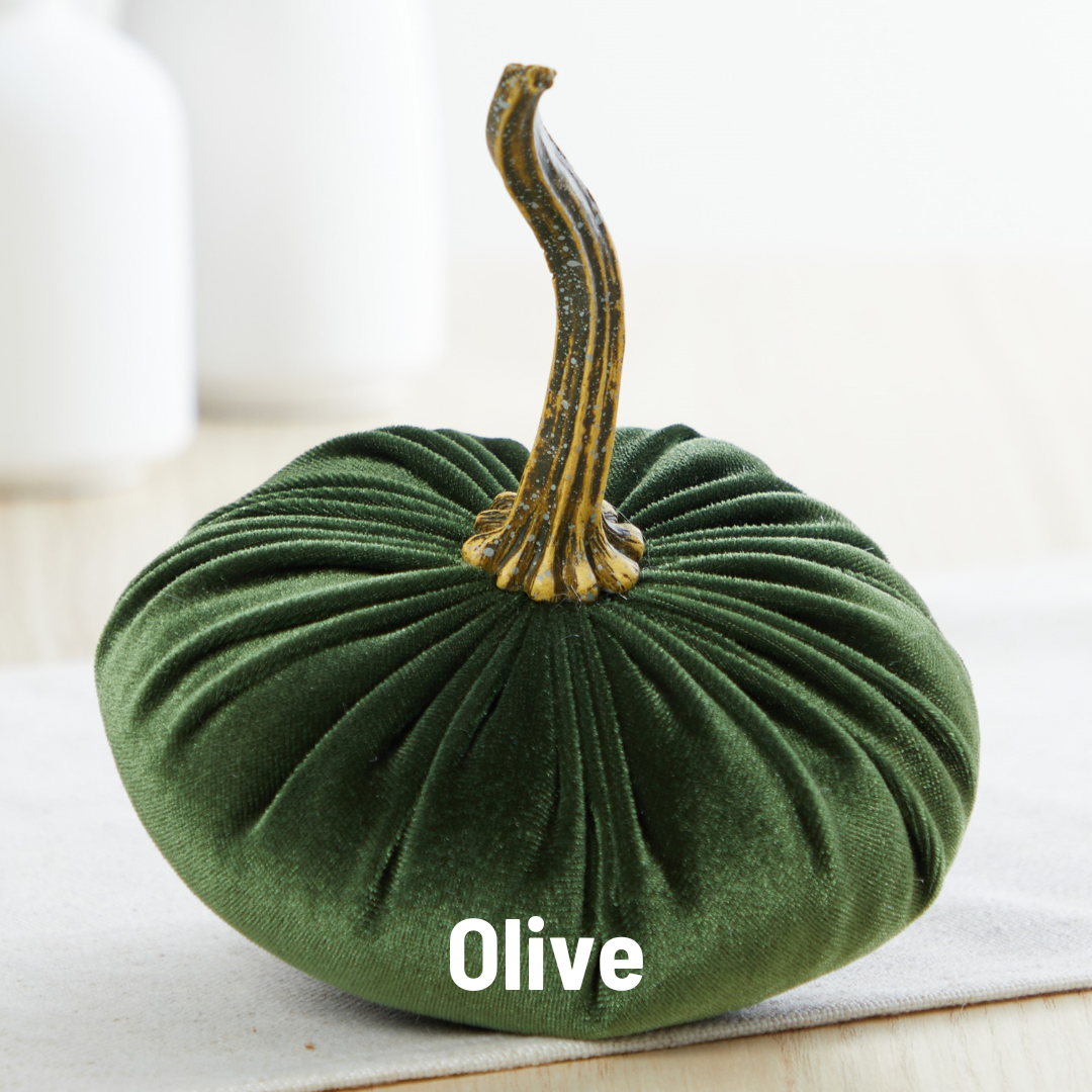 A small, plush velvet pumpkin in an olive green hue from Your Heart’s Content rests on a light surface, its textured, realistic stem adding elegance—an ideal choice for your Valentine’s mantel, autumn table display, or as a thoughtful gift. The word “Olive” appears centered at the bottom of the image in white text.