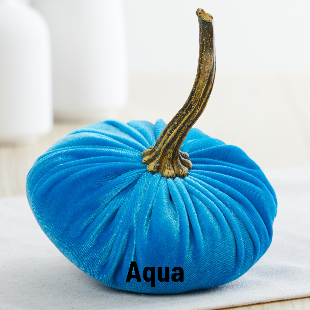 A small velvet pumpkin by Your Heart’s Content, crafted from aqua blue fabric and featuring a long, curved brown stem, sits on a white surface with the word “Aqua” in bold black letters on the front—perfect as Valentine’s mantel décor, an autumn table accent, or a unique Thanksgiving centerpiece.