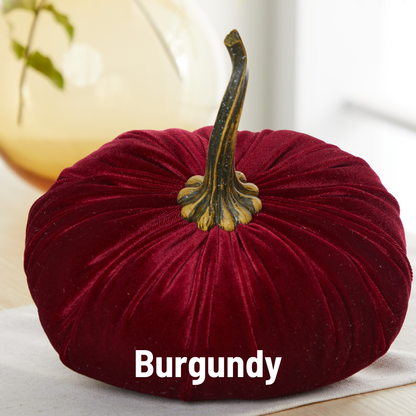 A luxurious, extra large velvet pumpkin from Your Heart’s Content in a deep burgundy shade features a gold and green stem and rests on a light surface. Ideal for Thanksgiving table decor or as an elegant wedding centerpiece, this beautiful fall accent—Your Heart’s Content - Pumpkin Extra Large Velvet—brings sophisticated charm to any setting. The word “Burgundy” appears at the bottom in bold white letters.