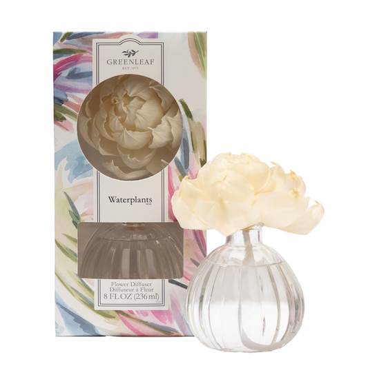 Greenleaf Gifts Waterplants Flower Diffuser with cream blooms next to colorful floral packaging box