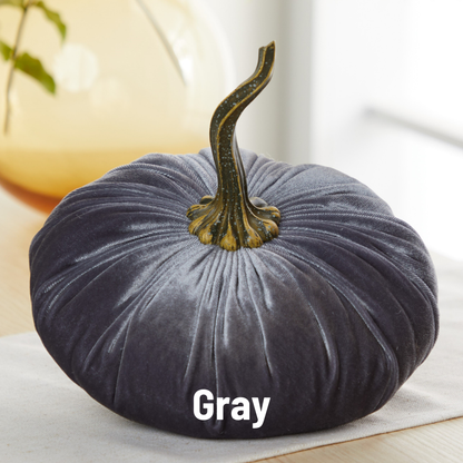 An extra large velvet pumpkin from Your Heart’s Content, featuring a plush gray finish and a realistic twisted stem, sits elegantly on a table—perfect for holiday mantel décor or as a thoughtful fall accent. The word “Gray” is displayed at the bottom of the image.
