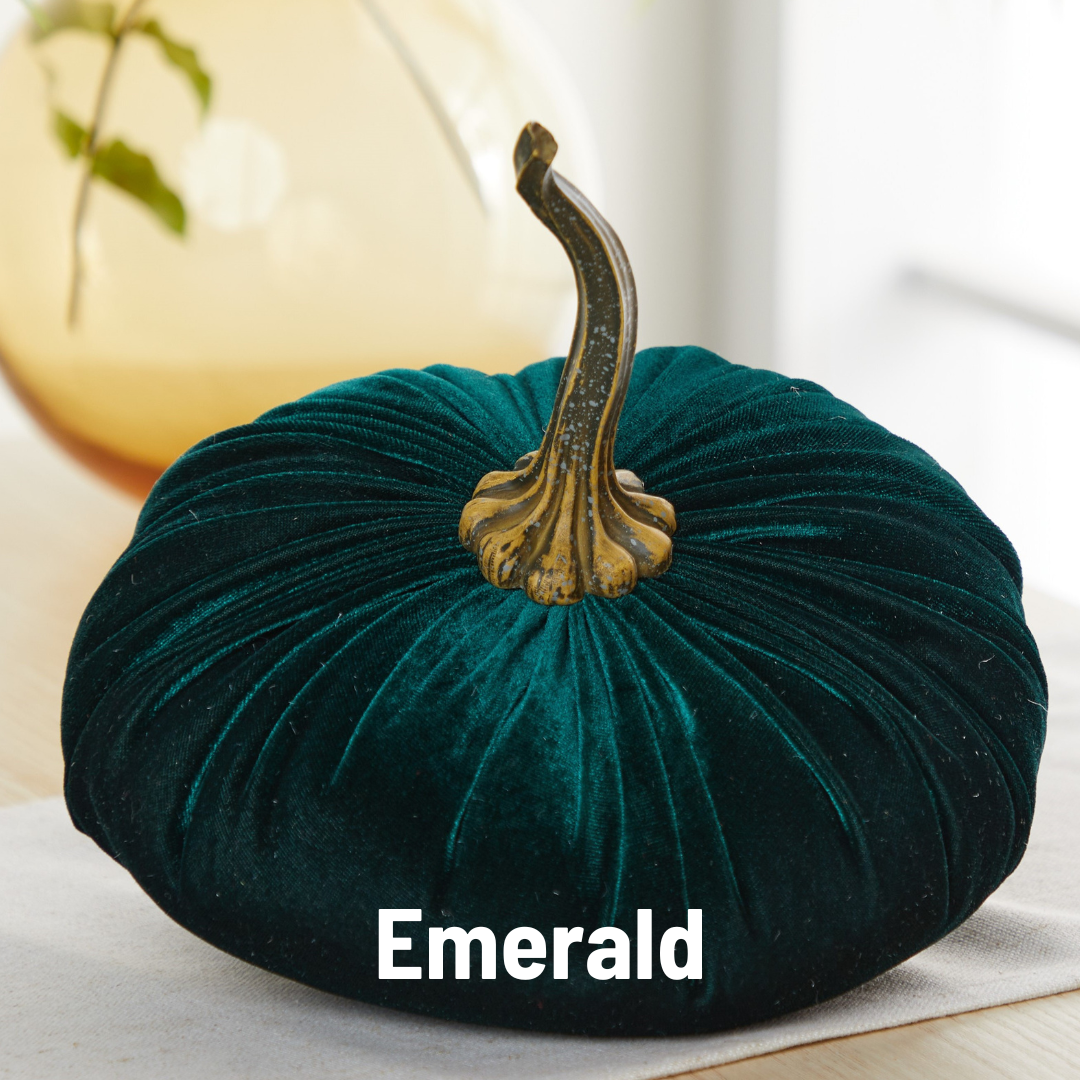 An extra large dark green velvet pumpkin from Your Heart’s Content, featuring a gold stem, is displayed on a table—making it an elegant choice for a wedding centerpiece. The product name, “Your Heart’s Content - Pumpkin Extra Large Velvet,” appears at the bottom of the image.