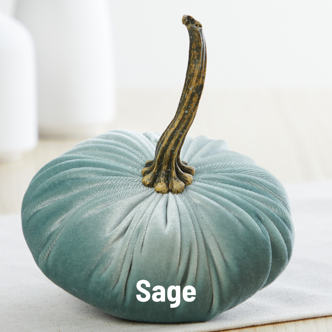 A plush, velvet pumpkin from Your Heart’s Content in a subtle sage green hue with a natural brown stem sits gracefully on a light surface, making it the perfect centerpiece for Thanksgiving or an autumn table. “Sage” is prominently displayed in bold white letters at the bottom.