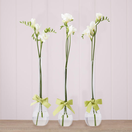 Three Two's Company teardrop vases in white with white carnations tied with yellow ribbons