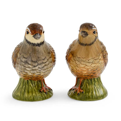 Two ceramic bird figurines from the Spode Woodland Quail Salt & Pepper set are adorned with brown and gray feathers, standing atop green grassy bases. Facing forward, these Spode pieces showcase intricate details and lifelike expressions—making them a charming addition to any table setting as decorative tableware.