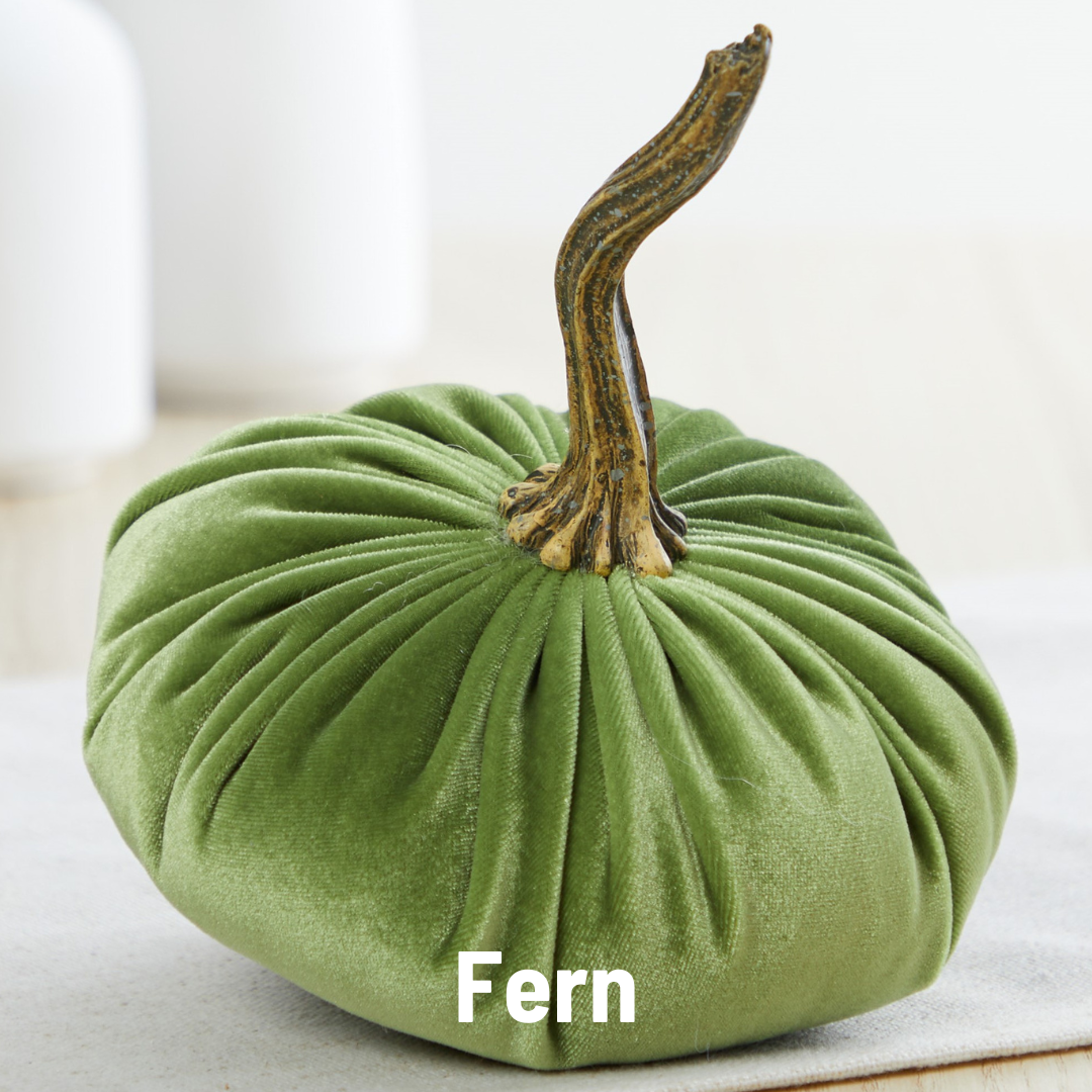 A small green velvet pumpkin from Your Heart’s Content, featuring a twisted brown stem, rests on a light surface—perfect for enhancing your Valentine’s mantel or autumn table décor. The word “Fern” appears in white letters at the bottom of the image.