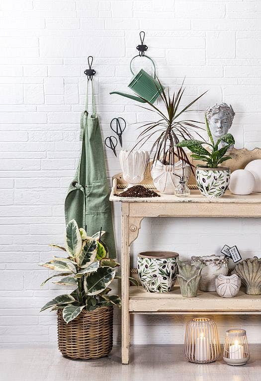 Abbott green Furled Leaf Vase styled on wooden shelf with potted plants and home decor items