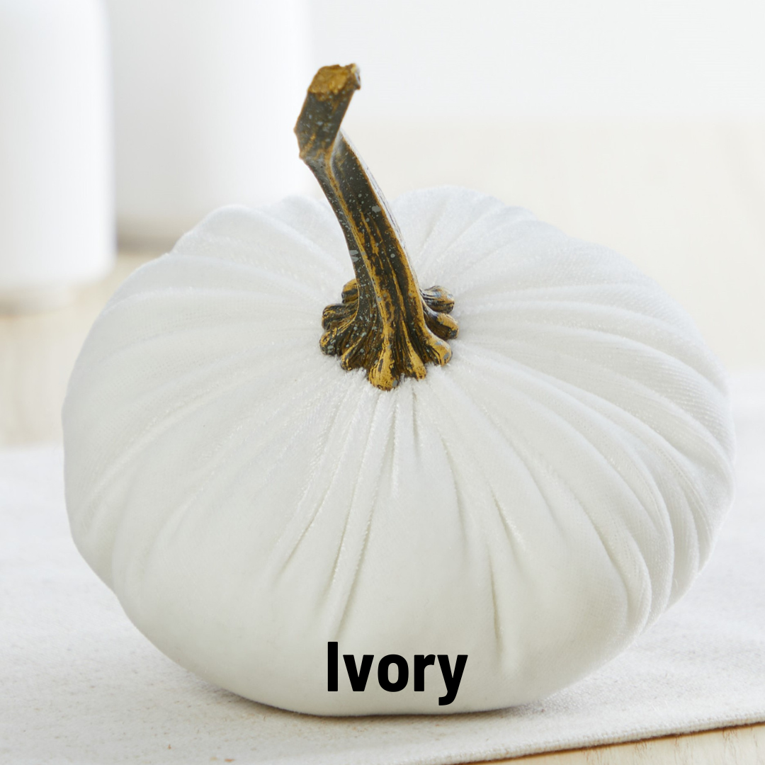 A small velvet pumpkin by Your Heart’s Content, crafted in ivory fabric with a dark stem, rests on a light surface. The word “Ivory” appears at the bottom of the image, making this elegant piece from Your Heart’s Content an ideal choice for your autumn table, Valentine’s mantel, or as a thoughtful gift.