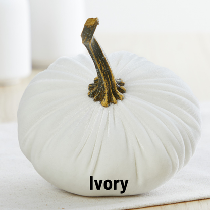 A small velvet pumpkin by Your Heart’s Content, crafted in ivory fabric with a dark stem, rests on a light surface. The word “Ivory” appears at the bottom of the image, making this elegant piece from Your Heart’s Content an ideal choice for your autumn table, Valentine’s mantel, or as a thoughtful gift.