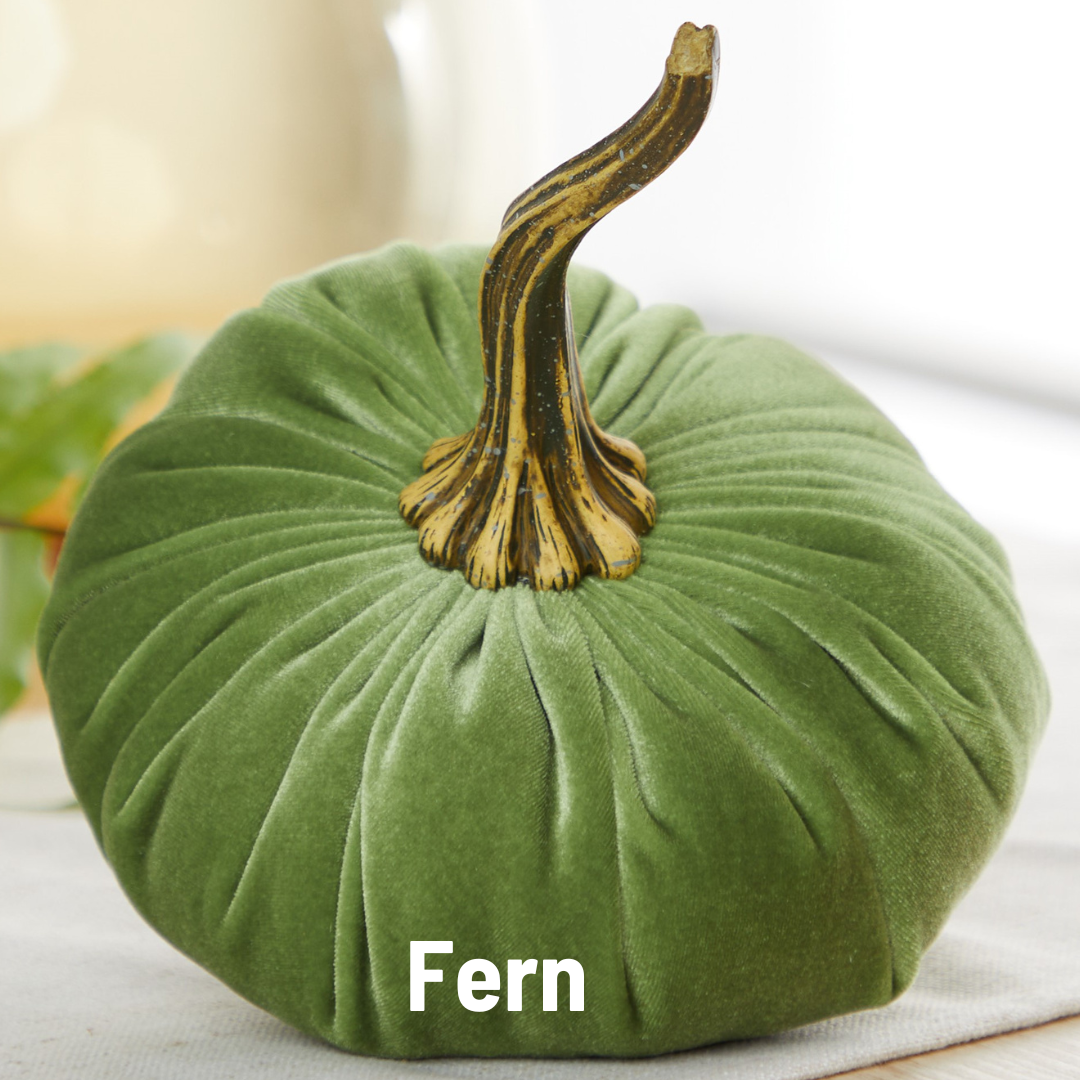 A large, green velvet pumpkin from Your Heart’s Content, featuring a realistic stem, rests on a white surface—making it the ideal centerpiece for your Thanksgiving table or fall mantel decor. The word “Fern” appears at the bottom of the image.