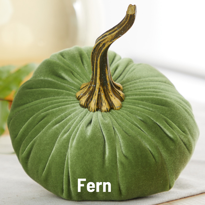 A large, green velvet pumpkin from Your Heart’s Content, featuring a realistic stem, rests on a white surface—making it the ideal centerpiece for your Thanksgiving table or fall mantel decor. The word “Fern” appears at the bottom of the image.