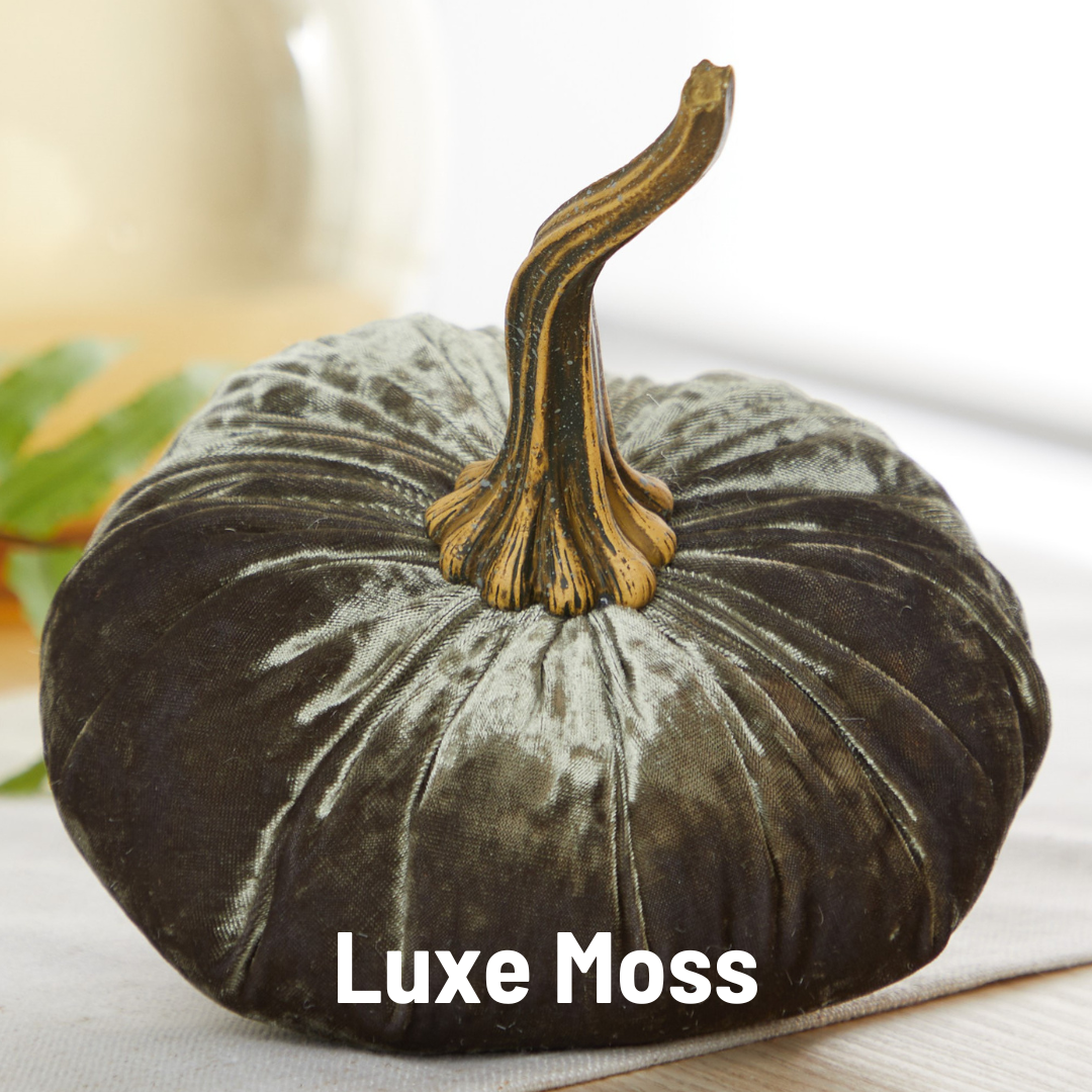 A large, plush velvet pumpkin from Your Heart’s Content in a rich moss green color, featuring a lifelike curved stem, rests elegantly on a white surface—making it an ideal centerpiece for Thanksgiving or fall mantel décor. At the bottom, “Your Heart’s Content - Pumpkin Large Velvet” is displayed prominently in bold white text, showcasing this sophisticated holiday accent.