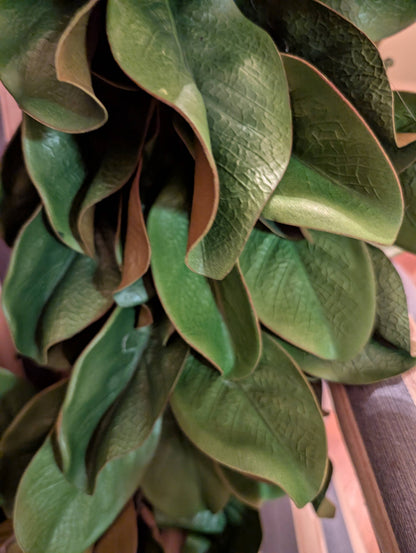Lucknow Southern and Company - 26" Faux Magnolia Wreath with Soft Touch Leaves