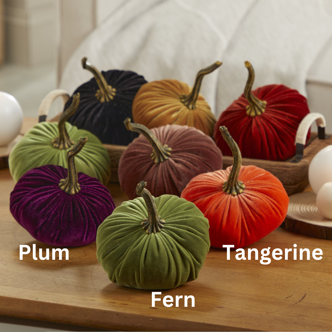Seven small velvet pumpkins from Your Heart’s Content, in shades of Plum, Fern, and Tangerine, are artfully displayed on a wooden tray to create a charming Thanksgiving centerpiece. Set against the backdrop of a cozy indoor space with a cream sofa and decorative accents, this arrangement is perfect inspiration for holiday mantel décor or an autumn table.