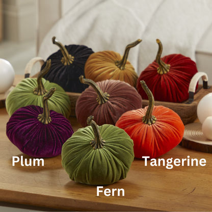 Seven small velvet pumpkins from Your Heart’s Content, in shades of Plum, Fern, and Tangerine, are artfully displayed on a wooden tray to create a charming Thanksgiving centerpiece. Set against the backdrop of a cozy indoor space with a cream sofa and decorative accents, this arrangement is perfect inspiration for holiday mantel décor or an autumn table.