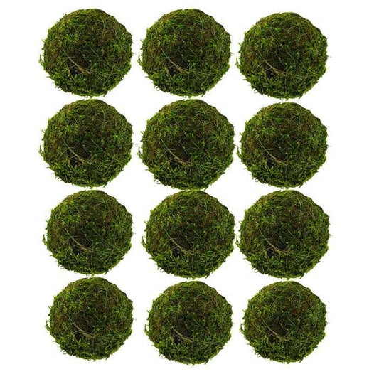 Lucknow Southern and Company - 2.75" Moss Balls Set of 12