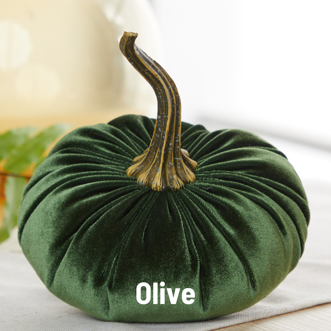 A handcrafted large velvet pumpkin from Your Heart’s Content, beautifully made of olive green fabric with a realistic stem and “Olive” inscribed across the surface, is displayed on a light backdrop—an elegant decor piece perfect for fall mantels, Halloween tables, or as a stylish Thanksgiving centerpiece.