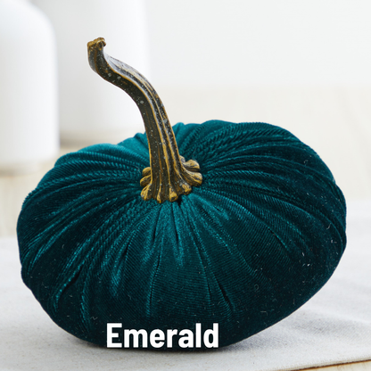 A small velvet pumpkin from Your Heart’s Content, in a lush dark green shade with a curved gold stem, rests on a soft fabric backdrop—an ideal centerpiece for your Thanksgiving table or autumn décor. “Your Heart’s Content - Pumpkin Small Velvet” is featured in bold white letters at the bottom.
