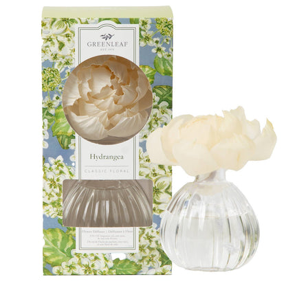 Greenleaf Gifts Hydrangea Flower Diffuser with cream silk flower, clear glass ribbed bottle, and hydrangea floral packaged box