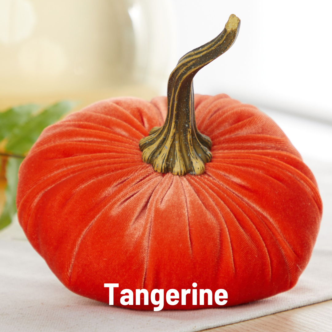A large velvet pumpkin from Your Heart’s Content, featuring a plush tangerine orange color and a twisted, lifelike stem, sits on a table as the perfect Thanksgiving centerpiece. The words “Your Heart’s Content - Pumpkin Large Velvet” appear at the bottom in bold white letters.