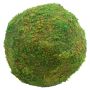 Lucknow Southern and Company - Moss Balls  8-inch and 10-inch