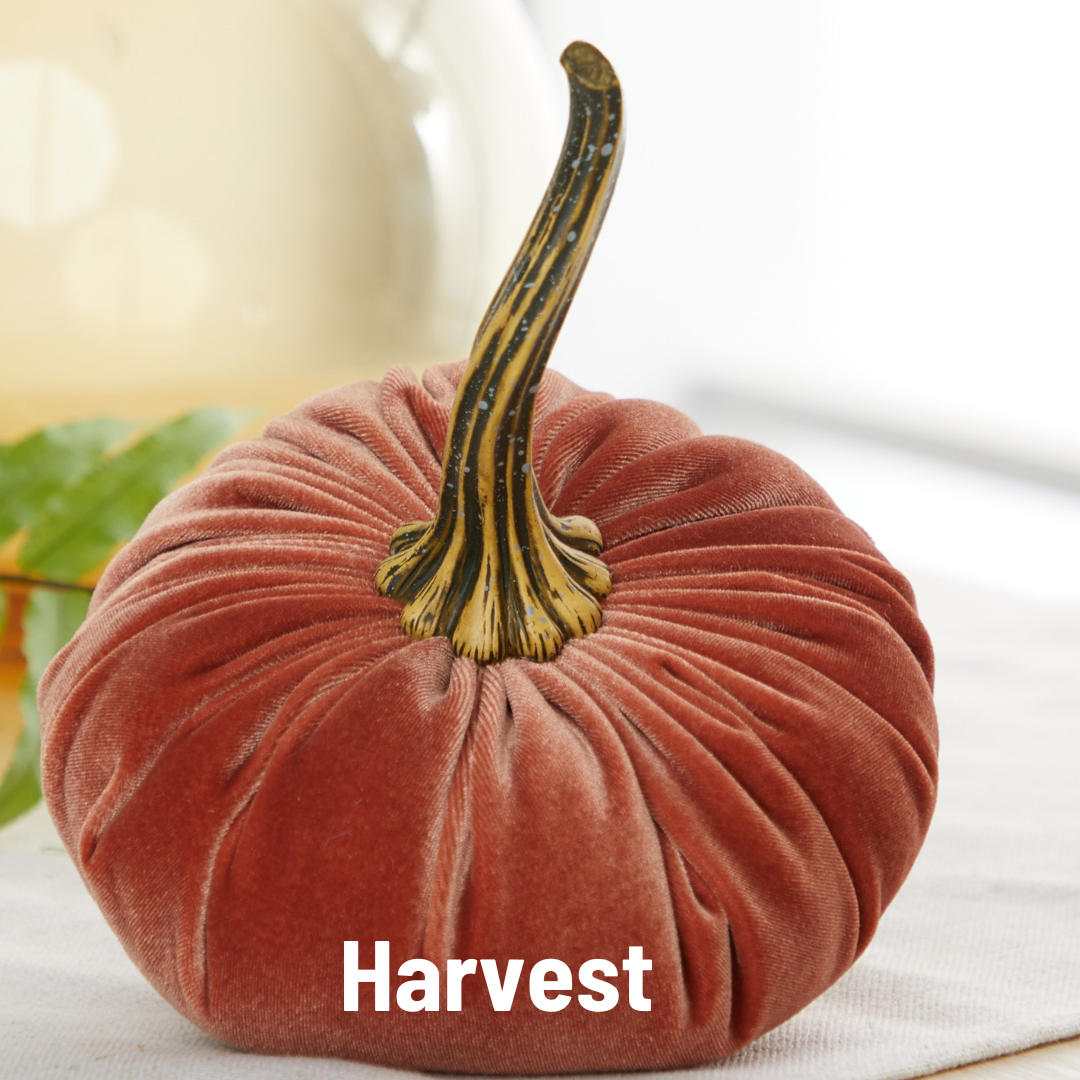 A large velvet pumpkin from Your Heart’s Content rests on the table, featuring a long stem and the word “Harvest” printed in bold white letters at the base. Handcrafted for autumn elegance, this decor piece makes an inviting Thanksgiving centerpiece or charming fall mantel accent.