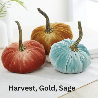 Three small velvet pumpkins by Your Heart’s Content, in orange, gold, and sage green with long stems, are displayed on a light table draped in white cloth. Ideal for a Valentine’s mantel or autumn table, and perfect as a Thanksgiving centerpiece or holiday décor. The text beside them reads: “Harvest, Gold, Sage.”.