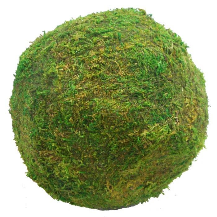 Lucknow Southern and Company - Moss Balls  8-inch and 10-inch