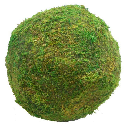Lucknow Southern and Company - Moss Balls  8-inch and 10-inch