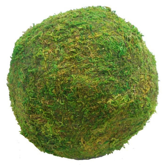 Lucknow Southern and Company - Moss Balls  8-inch and 10-inch