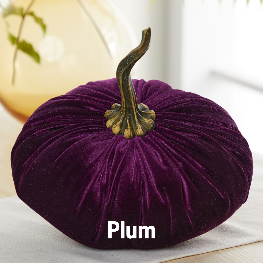 An extra-large velvet pumpkin in deep plum from Your Heart’s Content, featuring a twisted gold stem, sits elegantly on a table—making it a unique choice for holiday mantel décor. The product name, “Pumpkin Extra Large Velvet,” appears at the bottom of the image.