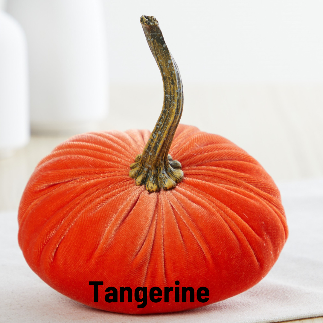 A small velvet pumpkin from Your Heart’s Content, in a vibrant tangerine hue and featuring a tall, curved stem, rests on a light surface—perfect for holiday mantels or an autumn table. “Your Heart’s Content - Pumpkin Small Velvet” is showcased in bold black letters at the bottom of the image.