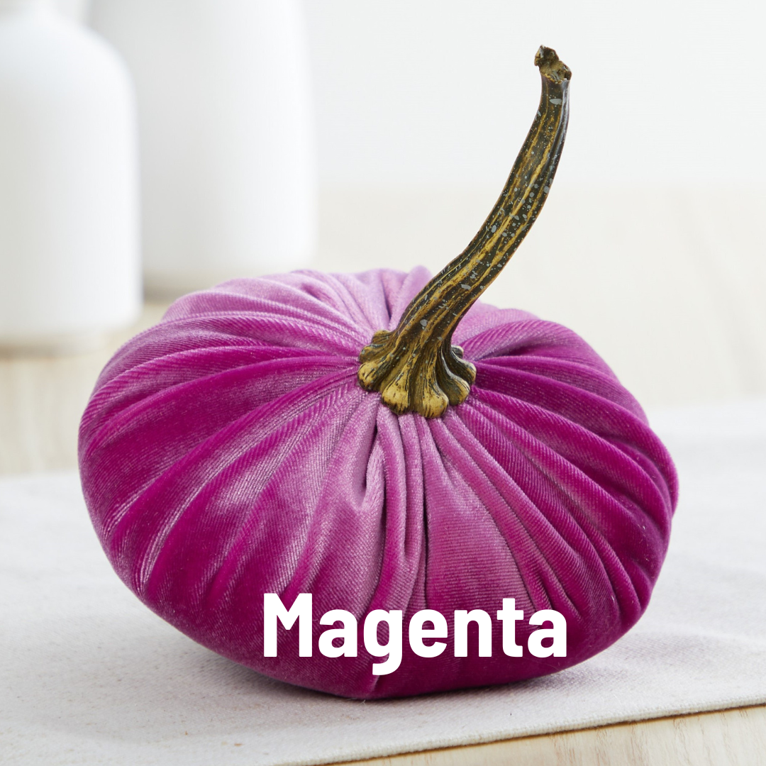A small velvet pumpkin from Your Heart’s Content, featuring rich magenta fabric and a brown stem, rests on a light surface—making it an ideal centerpiece for your Thanksgiving or autumn table. Accented with the word “Magenta” in white text across its side, this decorative piece brings a vibrant pop of color to your Valentine’s mantel or seasonal décor.