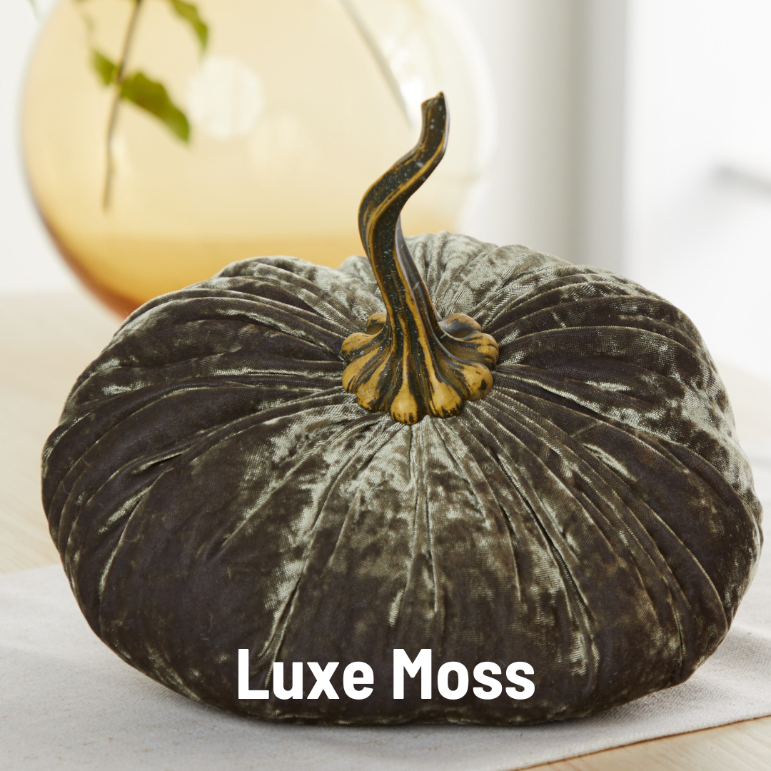 An extra large velvet pumpkin in a rich moss green hue from Your Heart’s Content, featuring a realistic stem, sits elegantly on a table—an ideal fall accent or thoughtful gift. The text “Luxe Moss” is displayed at the bottom of the image.