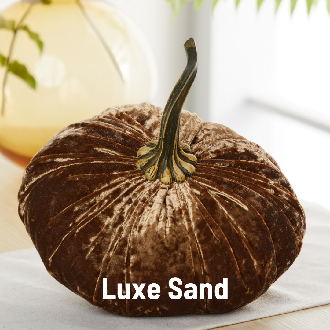 A plush, sand-brown pumpkin from Your Heart’s Content sits elegantly on a table, featuring the label “Pumpkin Extra Large Velvet.” Perfect as a wedding centerpiece or Thanksgiving table décor, this fall accent by Your Heart’s Content stands out beautifully against light backgrounds and greenery.