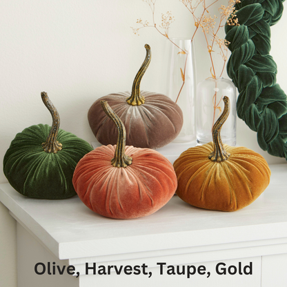 Four small velvet pumpkins by Your Heart’s Content—in shades of olive, harvest, taupe, and gold—are displayed on a white surface with dried flowers in the background. Perfect for a Valentine’s mantel, autumn table setting, or as a thoughtful gift, these charming pumpkins bring a warm seasonal touch to your decor. Text below reads: “Olive, Harvest, Taupe, Gold.”.