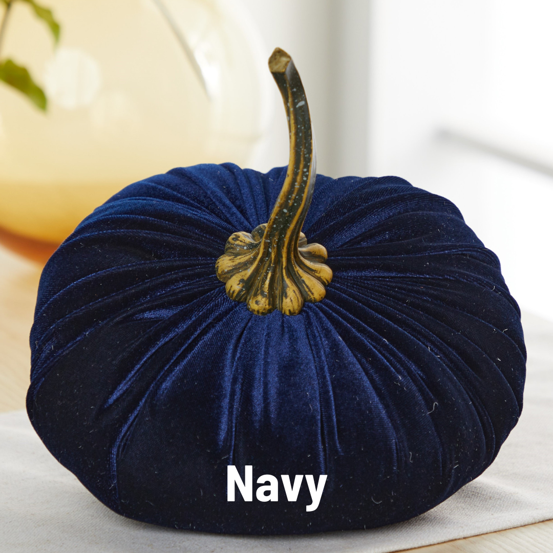 An extra large, round navy blue velvet pumpkin from Your Heart’s Content rests on a white surface, its realistic brown stem adding an elegant touch to your Thanksgiving table décor. The product name, “Pumpkin Extra Large Velvet,” and the word “Navy” appear at the bottom of the image.