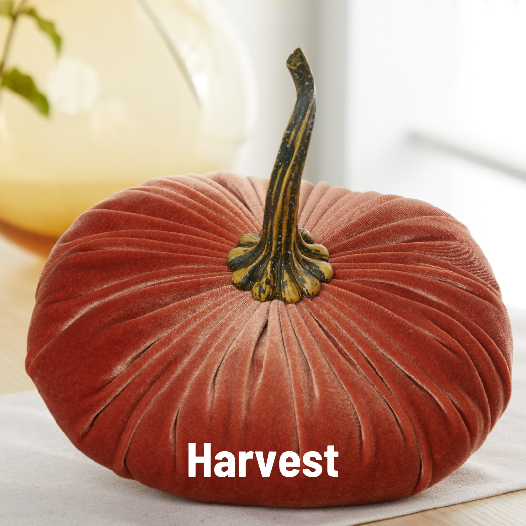 Your Heart’s Content - Pumpkin Extra Large Velvet sits elegantly on a table, featuring a realistic stem and making it a charming wedding centerpiece or the perfect holiday mantel décor. The words “Harvest” are displayed in bold white text at the bottom, highlighting this thoughtful fall accent from Your Heart’s Content.