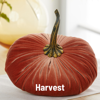 Your Heart’s Content - Pumpkin Extra Large Velvet sits elegantly on a table, featuring a realistic stem and making it a charming wedding centerpiece or the perfect holiday mantel décor. The words “Harvest” are displayed in bold white text at the bottom, highlighting this thoughtful fall accent from Your Heart’s Content.