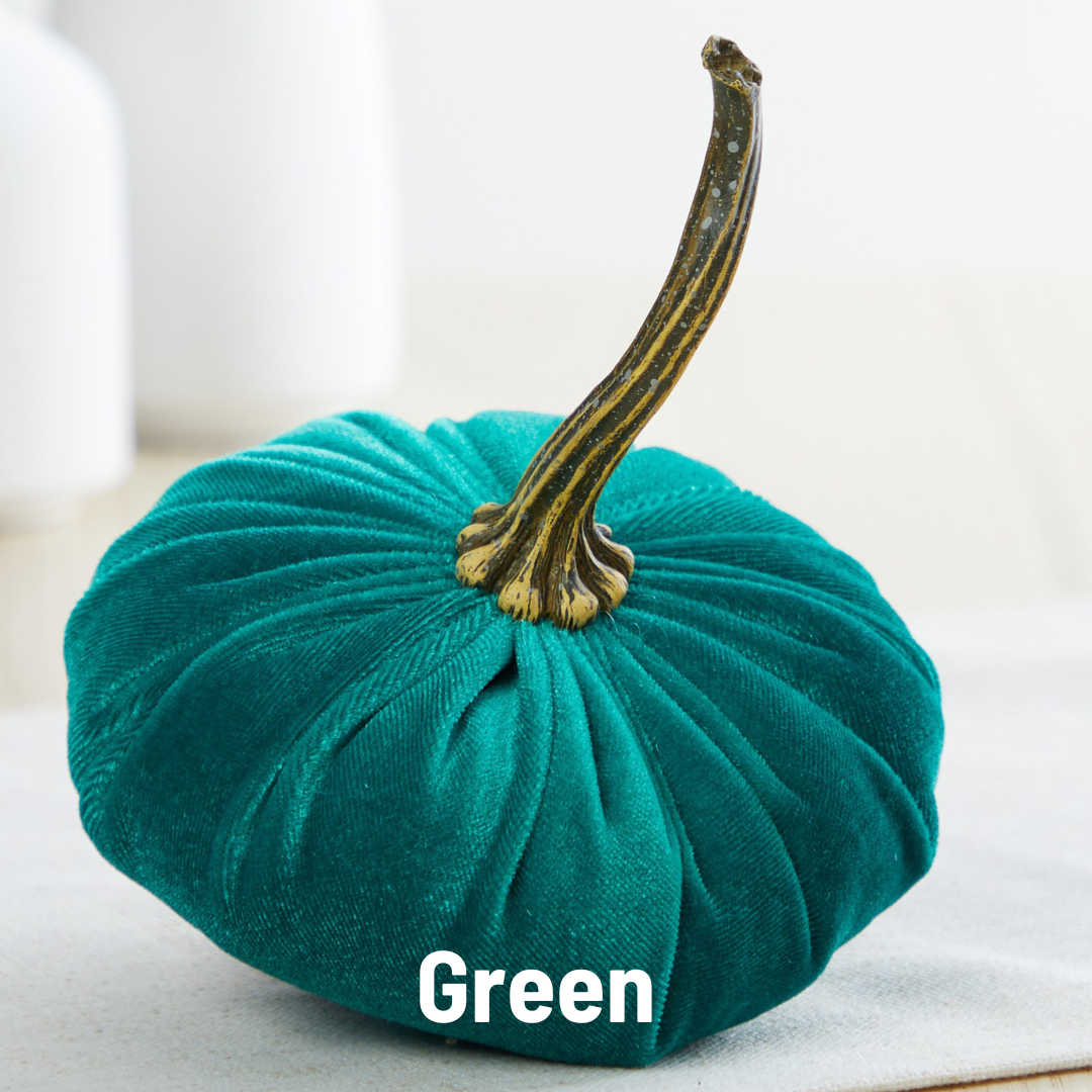A small velvet pumpkin from Your Heart’s Content, featuring a rich green hue and a long curved stem, rests on a light surface—making it an ideal centerpiece for your Thanksgiving table or autumn décor. “Green” appears in white text at the bottom.