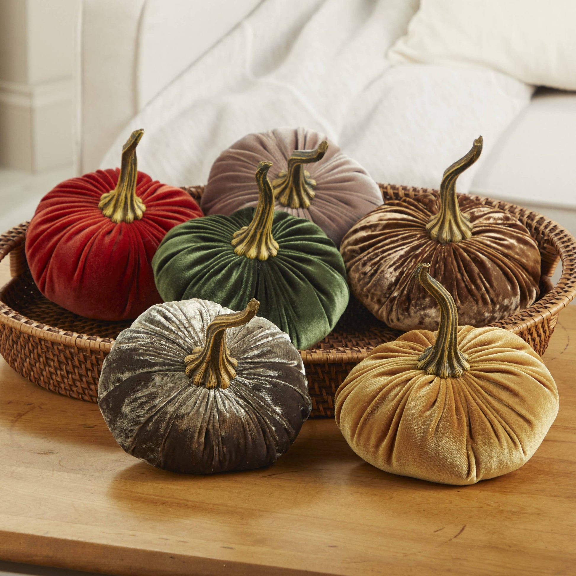 A light-colored couch displays a wicker tray holding six “Your Heart’s Content - Pumpkin Large Velvet” decorative pumpkins by Your Heart’s Content, in red, green, gold, brown, gray, and taupe hues. Each handcrafted pumpkin features a twisted lifelike stem, creating an elegant décor accent ideal for a Thanksgiving centerpiece or fall mantel display.