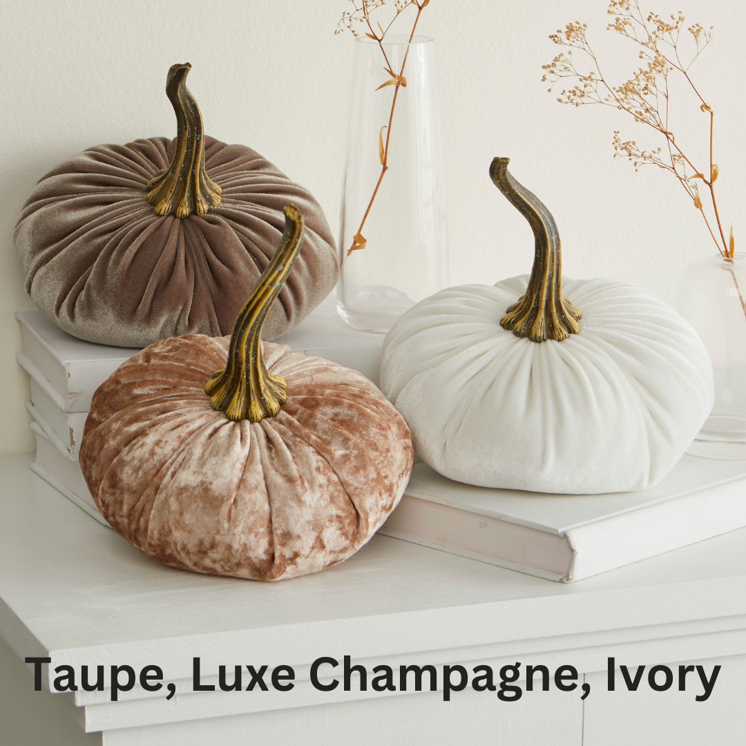 A trio of small velvet pumpkins by Your Heart’s Content—featured in taupe, luxe champagne, and ivory—are artfully arranged on white books, complemented by dried foliage in glass vases for a sophisticated seasonal display. This elegant arrangement from the Your Heart’s Content collection is perfect for Valentine’s mantels, autumn tablescapes, or as a Thanksgiving centerpiece. Text reads: “Taupe, Luxe Champagne, Ivory.”.