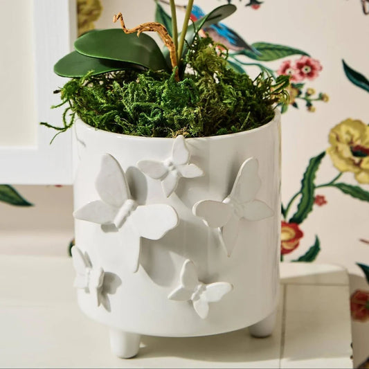Two's Company butterfly cachepot with plants and flowers displayed indoors